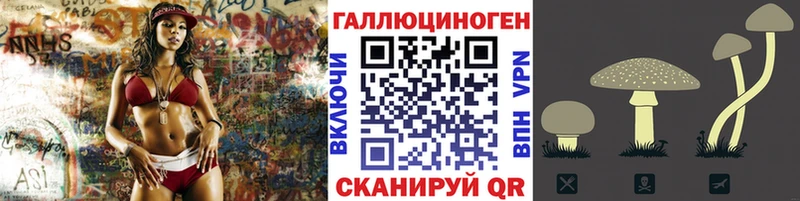 Псилоцибиновые грибы Psilocybine cubensis  закладка  Сретенск 